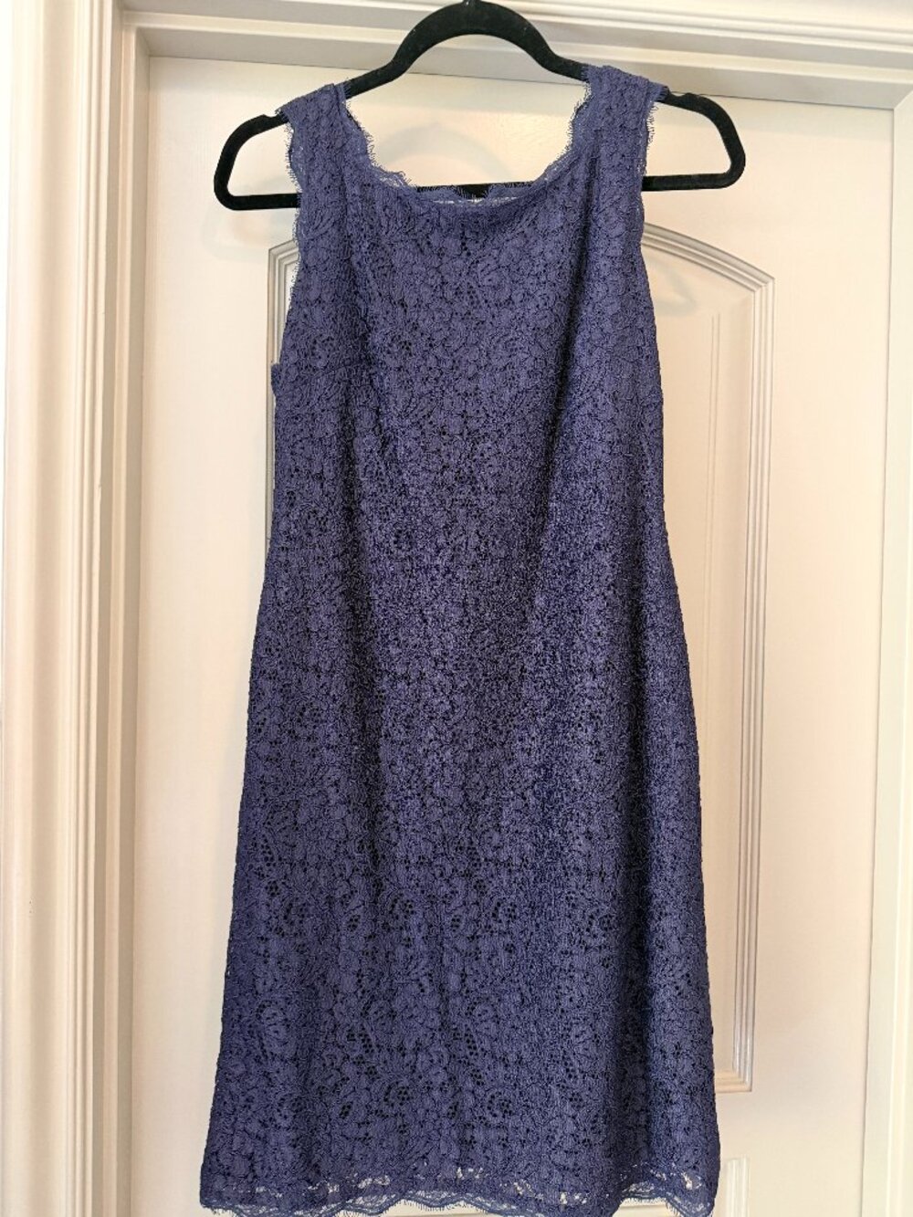 Navy Lace Dress - Adrianna Papell, Size 10P